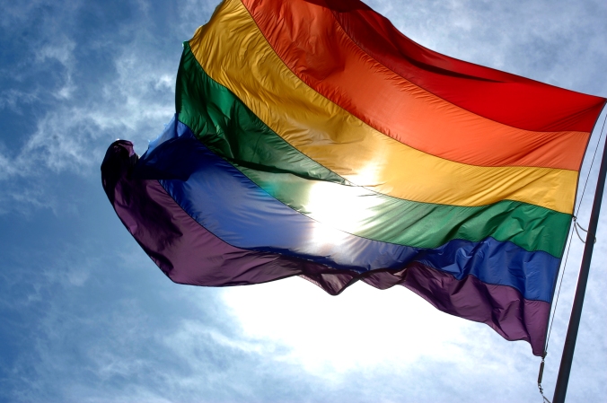 "The first rainbow flag was designed in 1978 by Gilbert Baker, a San Francisco artist, in response to calls by activists for a symbol for the community." Credit: Wikimedia.